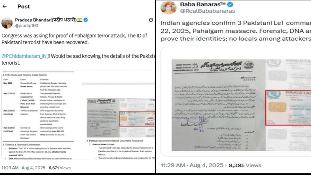 Fake Reports