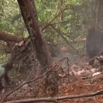 Ghana Helicopter Crash