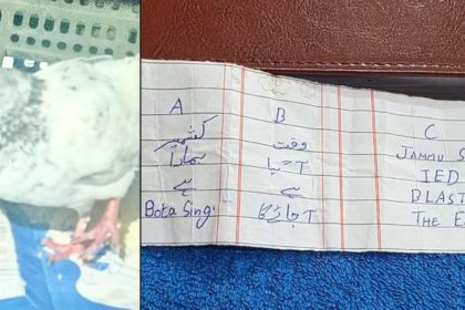 Mysterious Pigeon Incident Sparks Security Concerns Along India Pakistan Border