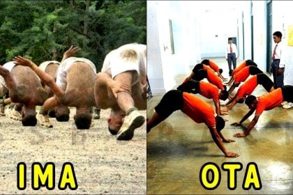 OTA Chennai vs IMA Dehradun