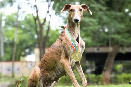 Desi Dog ‘Riya’ Outshines 116 Foreign Breeds, Wins Best Tracker and Dog of the Meet Titles