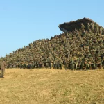 Lt Gen Katiyar and Other Soldiers