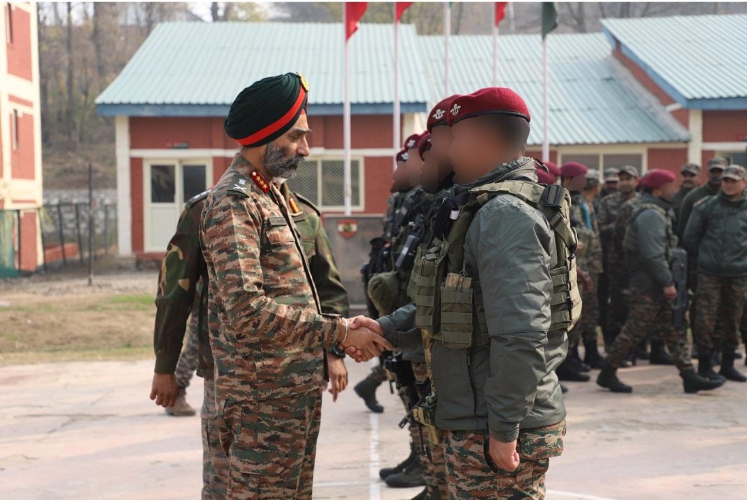 Russells Vipers 34242