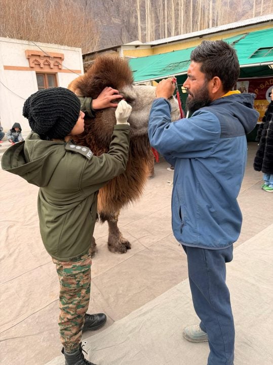 Officer Looking After Animal