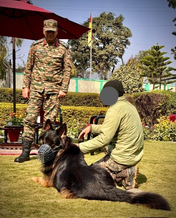 Indian Army Dog Tyson 2
