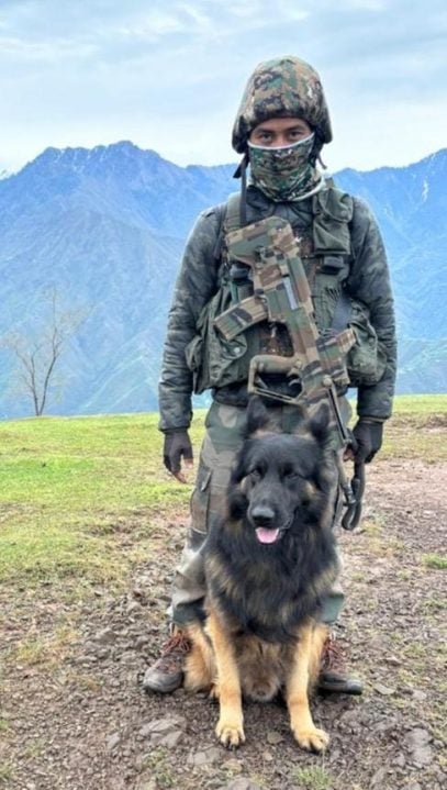 Indian Army Dog Tyson 3 1