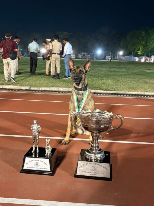 Dog with Trophy