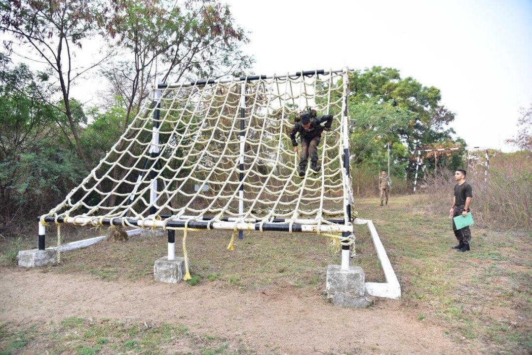 OC Crossing Spider Web