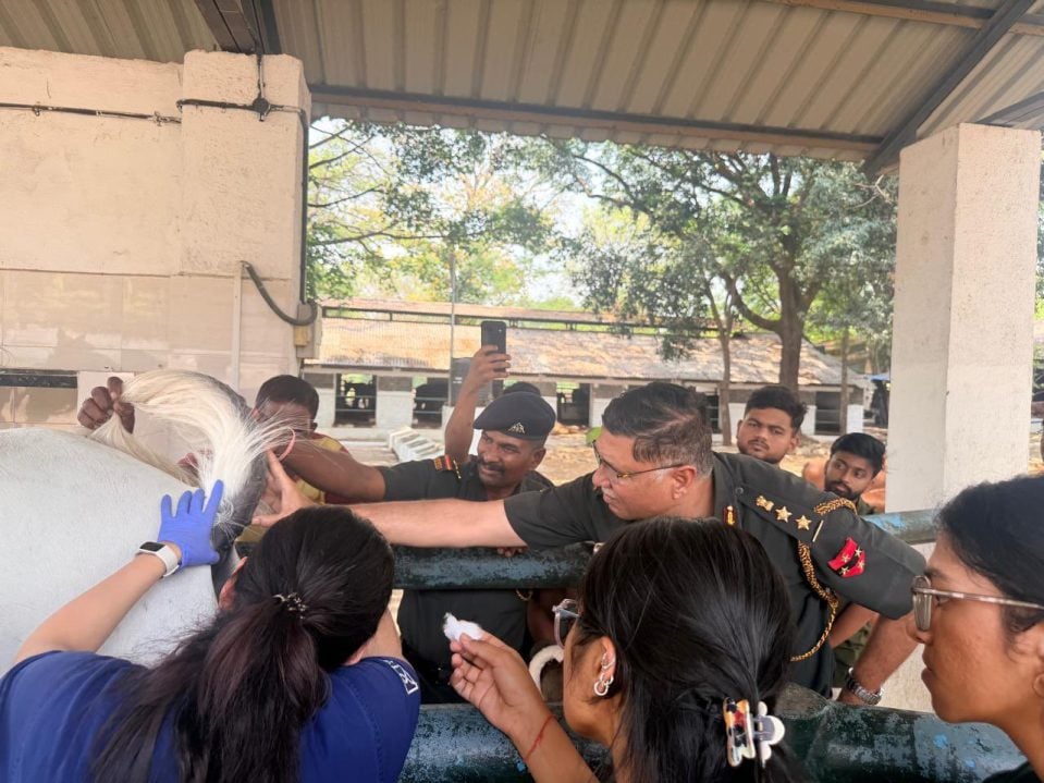 Officers with Animal