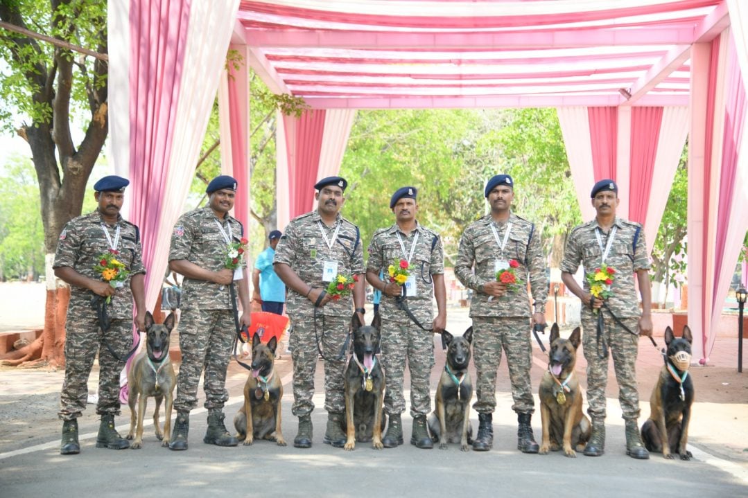 Officers with Dogs