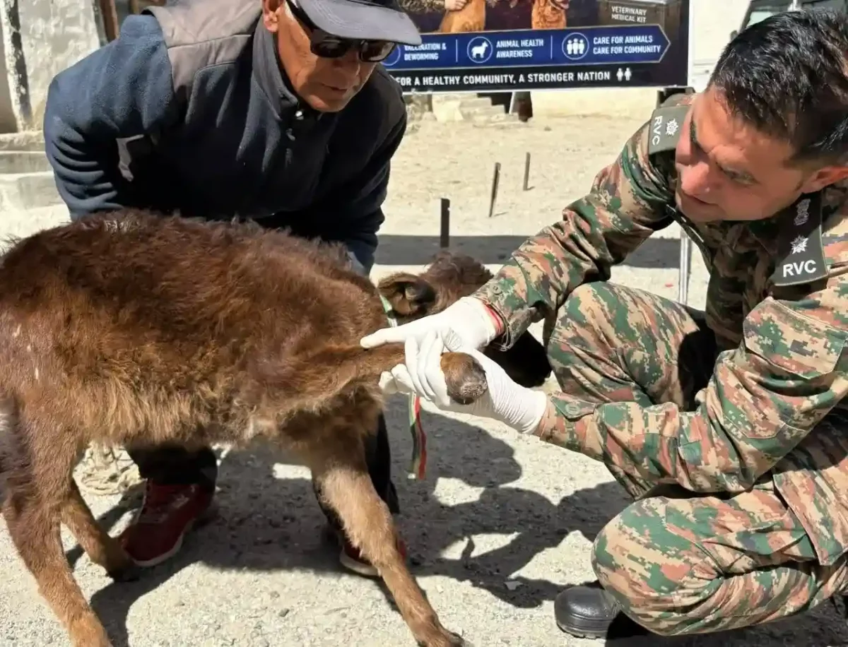Indian Army Conducts Veterinary Camps 1 1