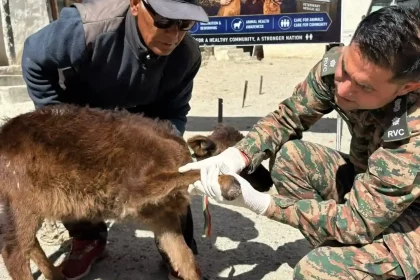 Indian Army Conducts Veterinary Camps 1 1
