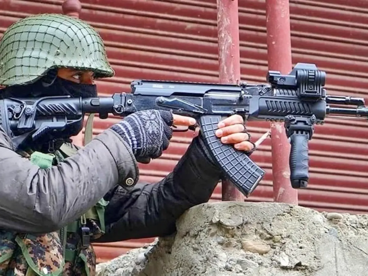 AK 203