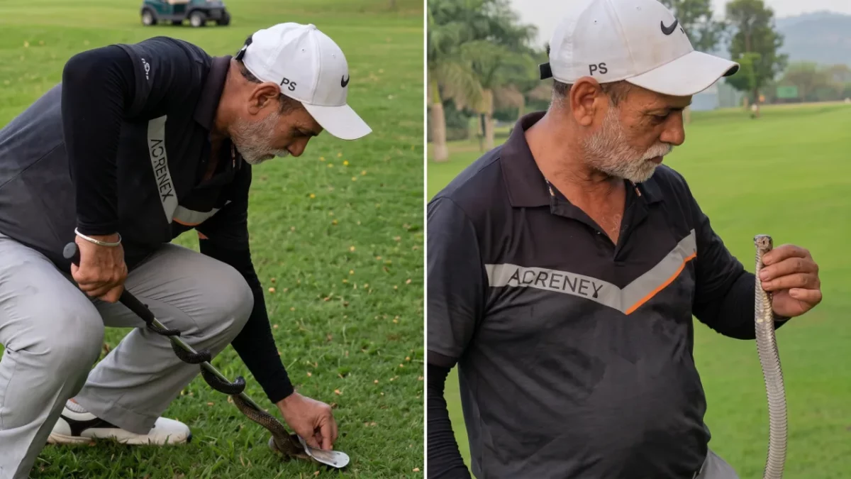 ‘Once a Commando, Always a Commando’: Army Veteran Calmly Handles Cobra at Chandigarh Golf Club in Viral Video