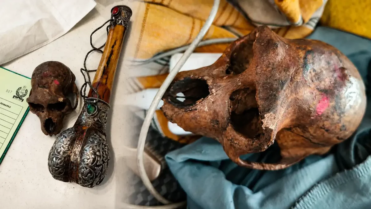CISF Detects Monkey Skull Concealed in Passenger’s Hand Baggage at Delhi Airport