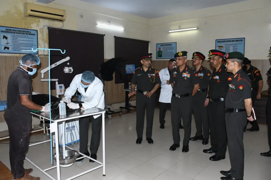 Officers Reviewing 12