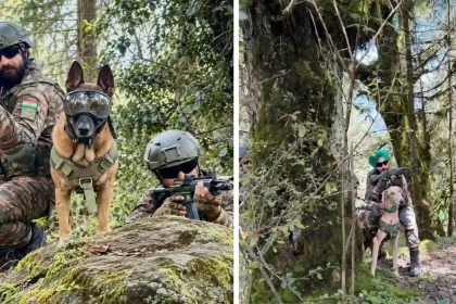 Army Dogs with Soldiers