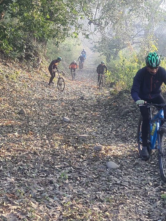 Cycling in Progress