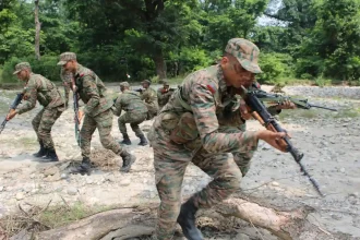 OCs in Training