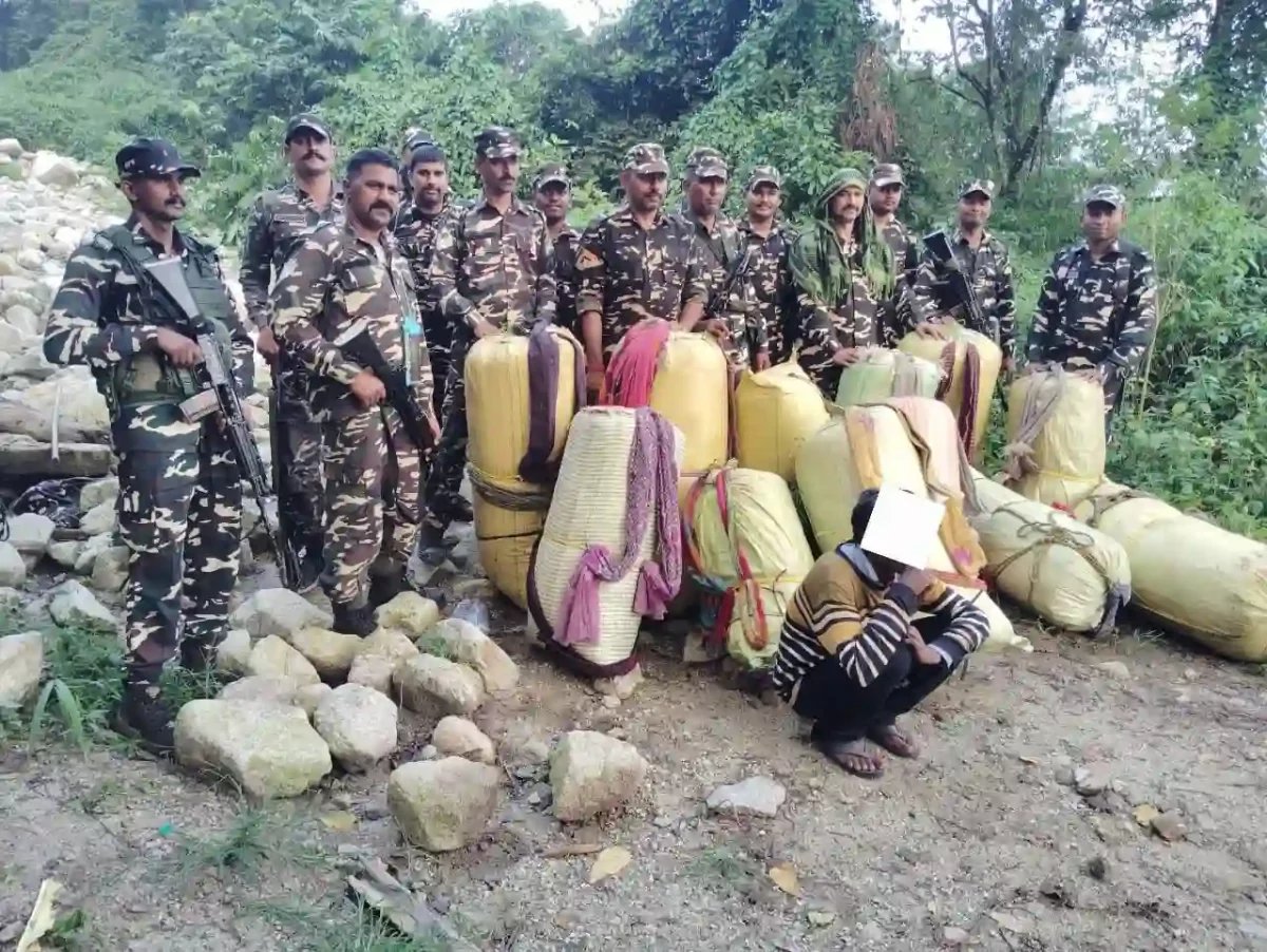 SSB Seizes 325.5 kg Ganja in Arunachal Pradesh; One Arrested in Joint Operation